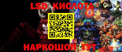 сатива Будённовск