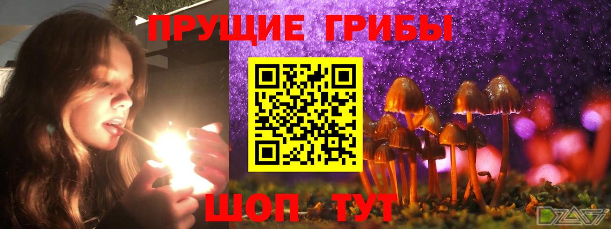 Псилоцибиновые грибы Magic Shrooms Орехово-Зуево